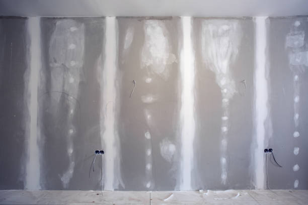 Best Crawl Space Mold Remediation  in Holley, FL